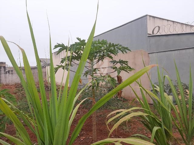 Terreno_Venda